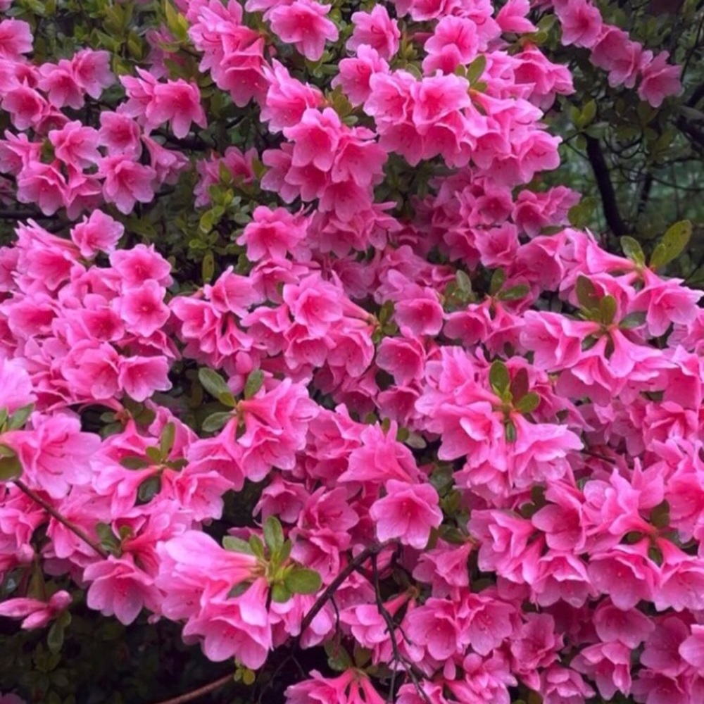 Hi! Open to offers and trading! ❤️